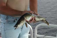 Fishing_05-29-02_068.JPG